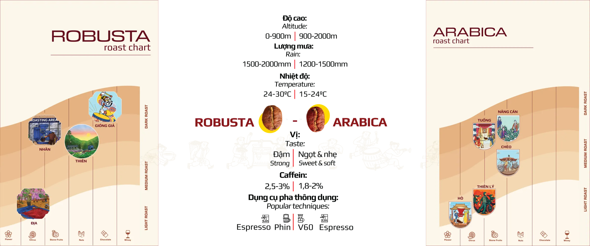 So sánh Robusta và Arabica: độ cao, lượng mưa, nhiệt độ, vị, caffeine, dụng cụ pha và biểu đồ độ rang