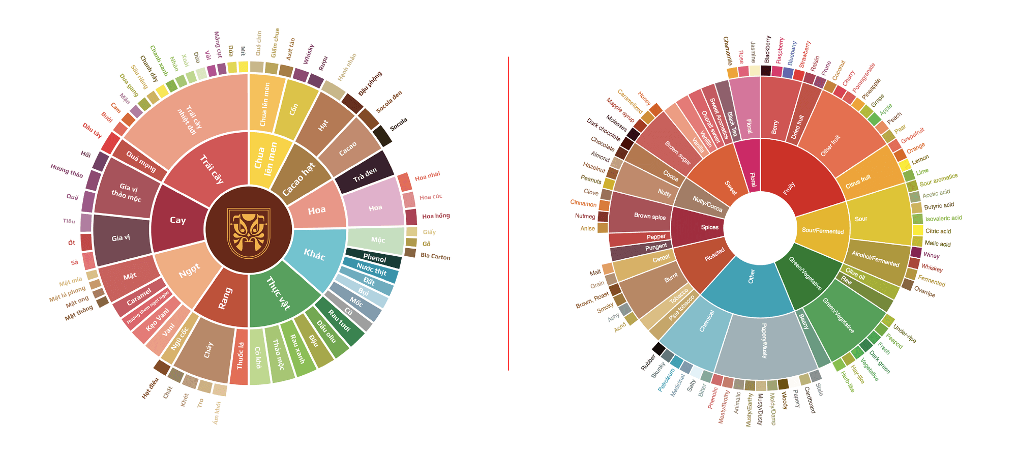 flavor-wheel