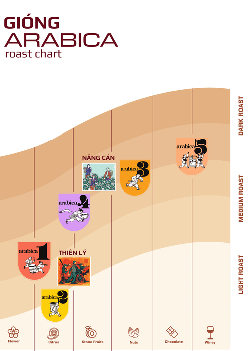 giong-arabica-roast-chart